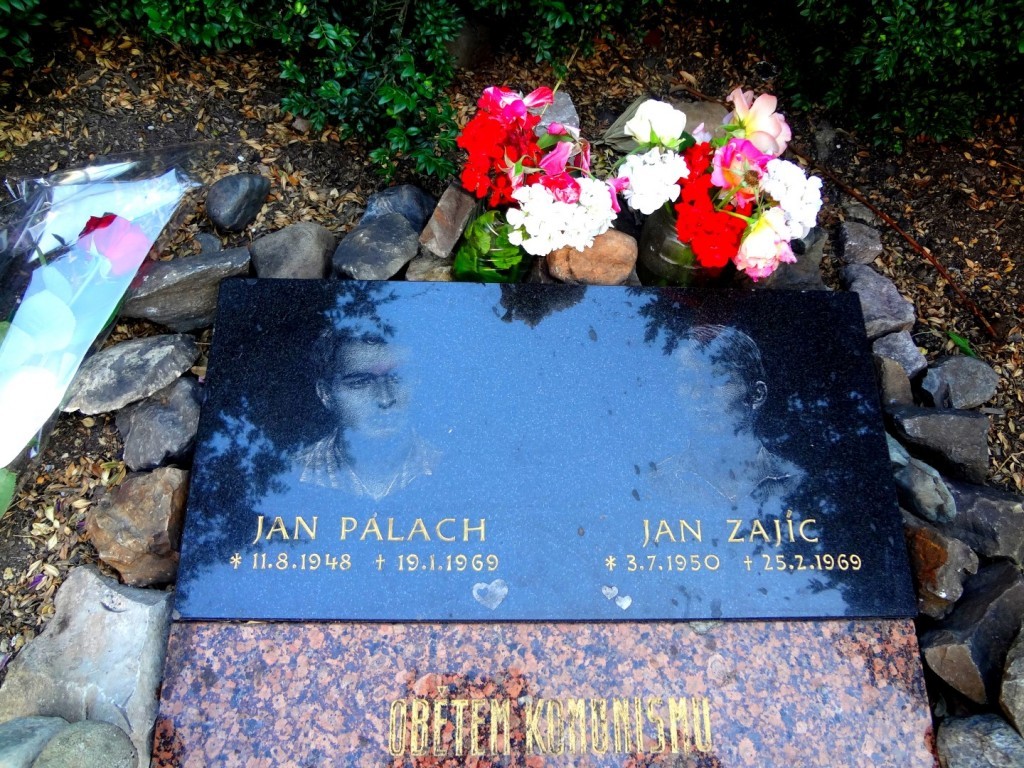 DSC02416 (Large).JPG