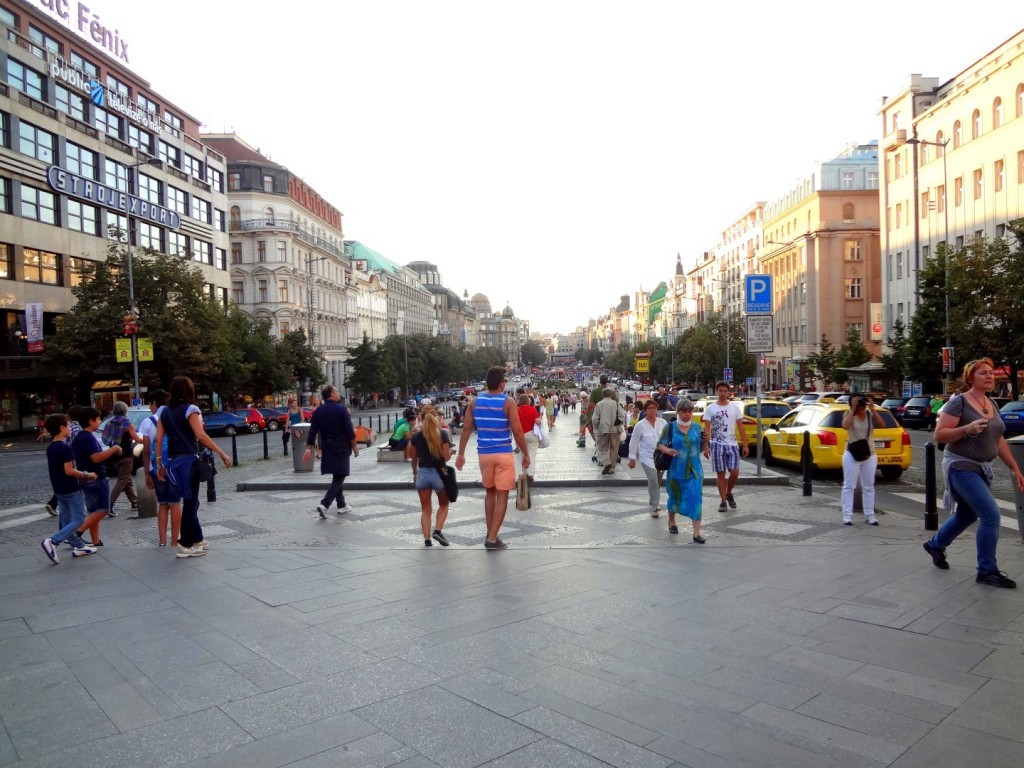 DSC02417 (Large).JPG