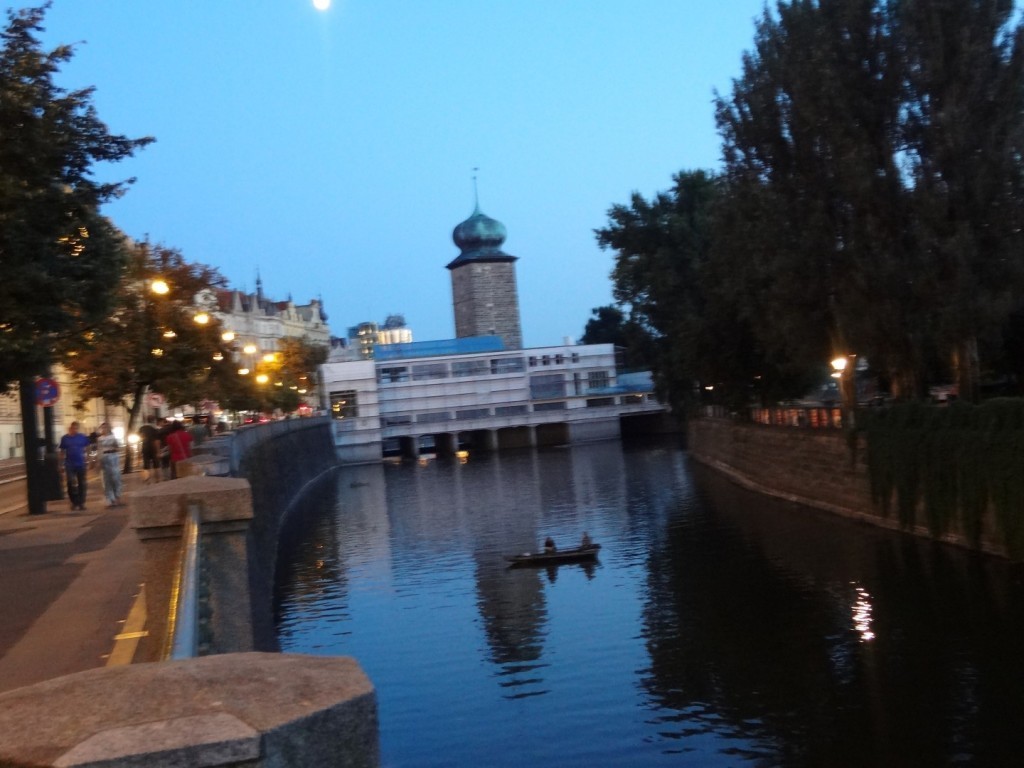 DSC02460 (Large).JPG