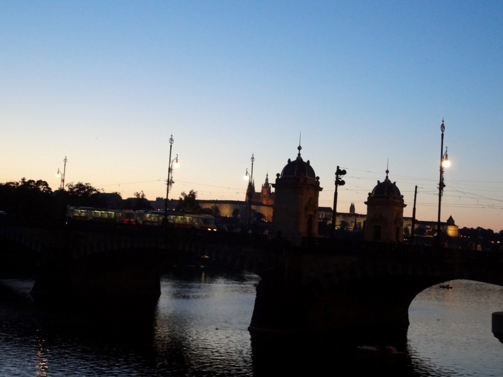 DSC02461 (Large) (Large).JPG