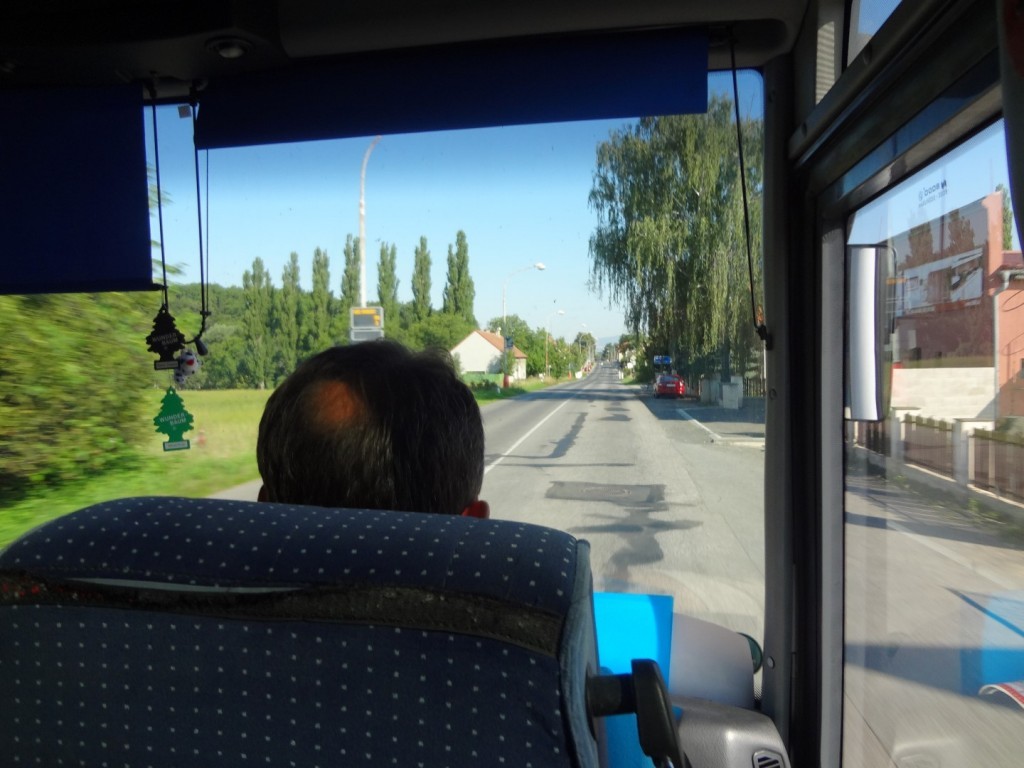 DSC02492 (Large).JPG