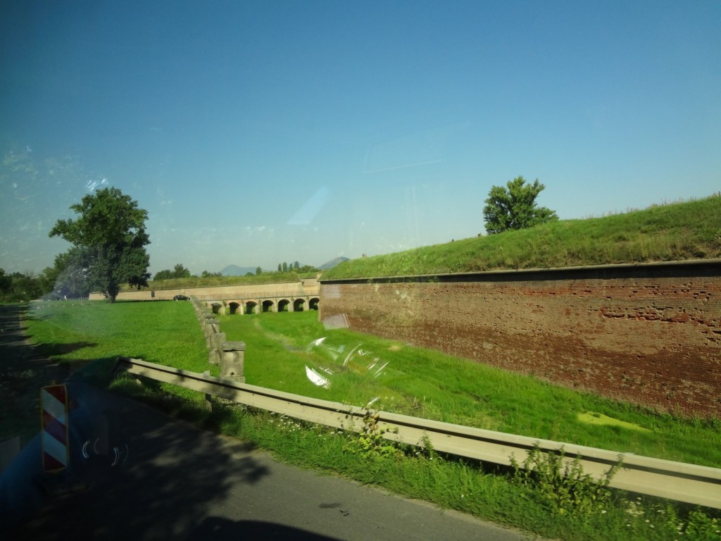 DSC02497 (Large).JPG