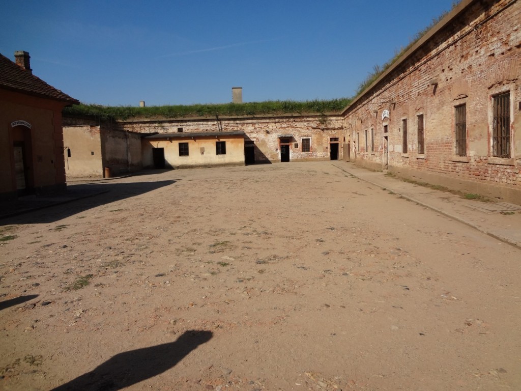 DSC02526 (Large).jpg