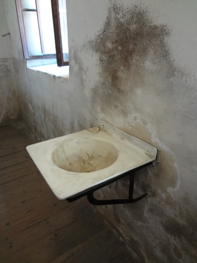 DSC02527 (Large).JPG