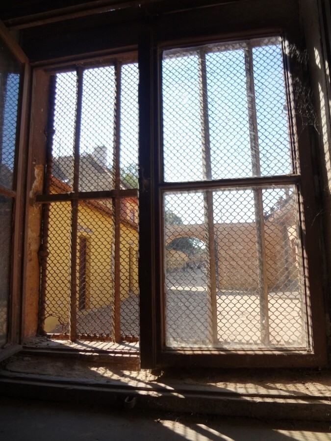 DSC02528 (Large).JPG