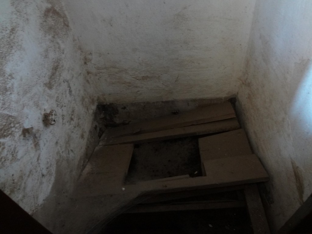 DSC02529 (Large).JPG