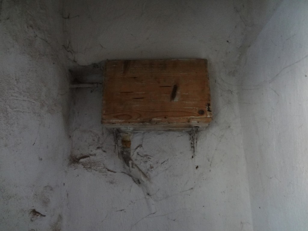 DSC02530 (Large).JPG