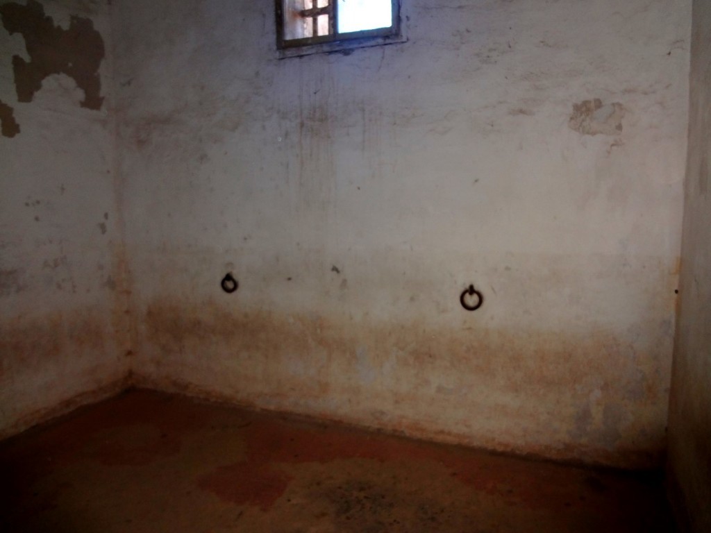 DSC02531 (Large).JPG