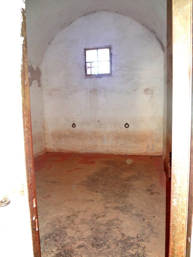 DSC02533 (Large).JPG