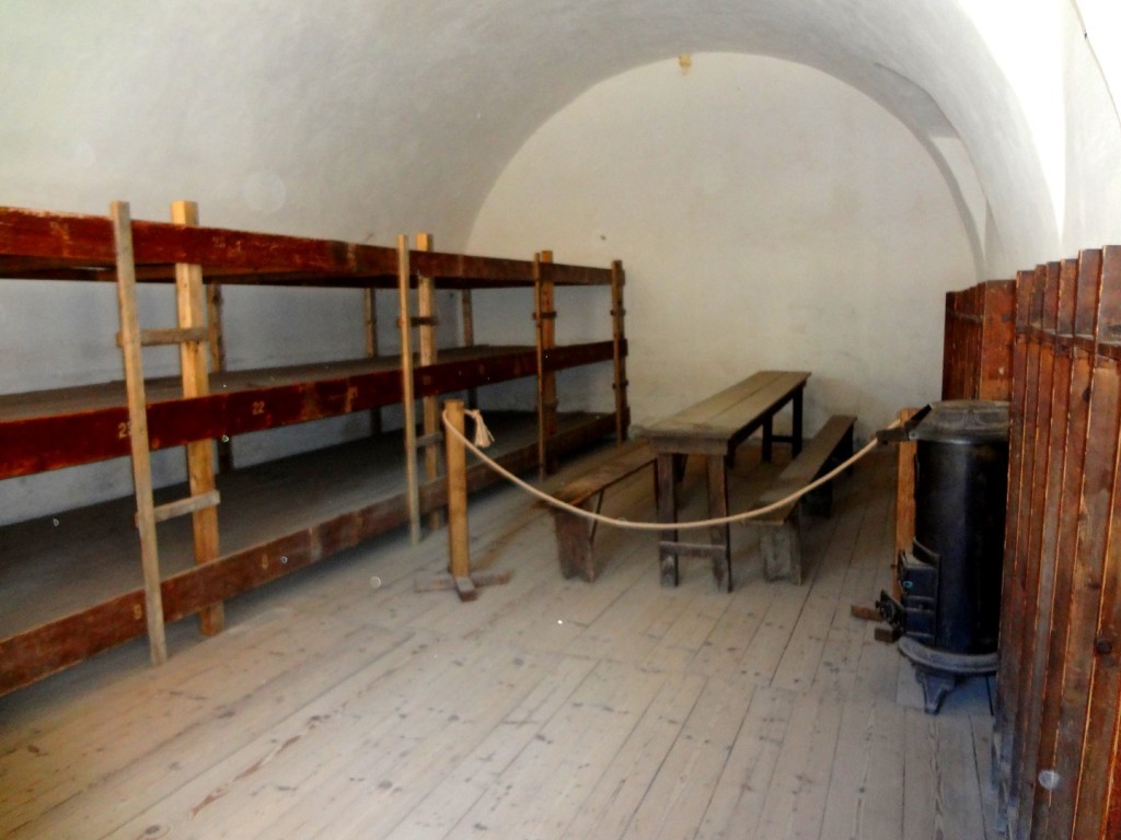 DSC02535 (Large).JPG