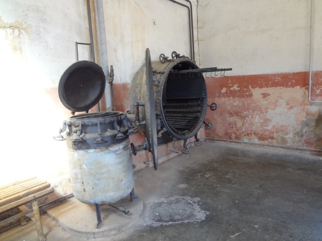 DSC02536 (Large).JPG