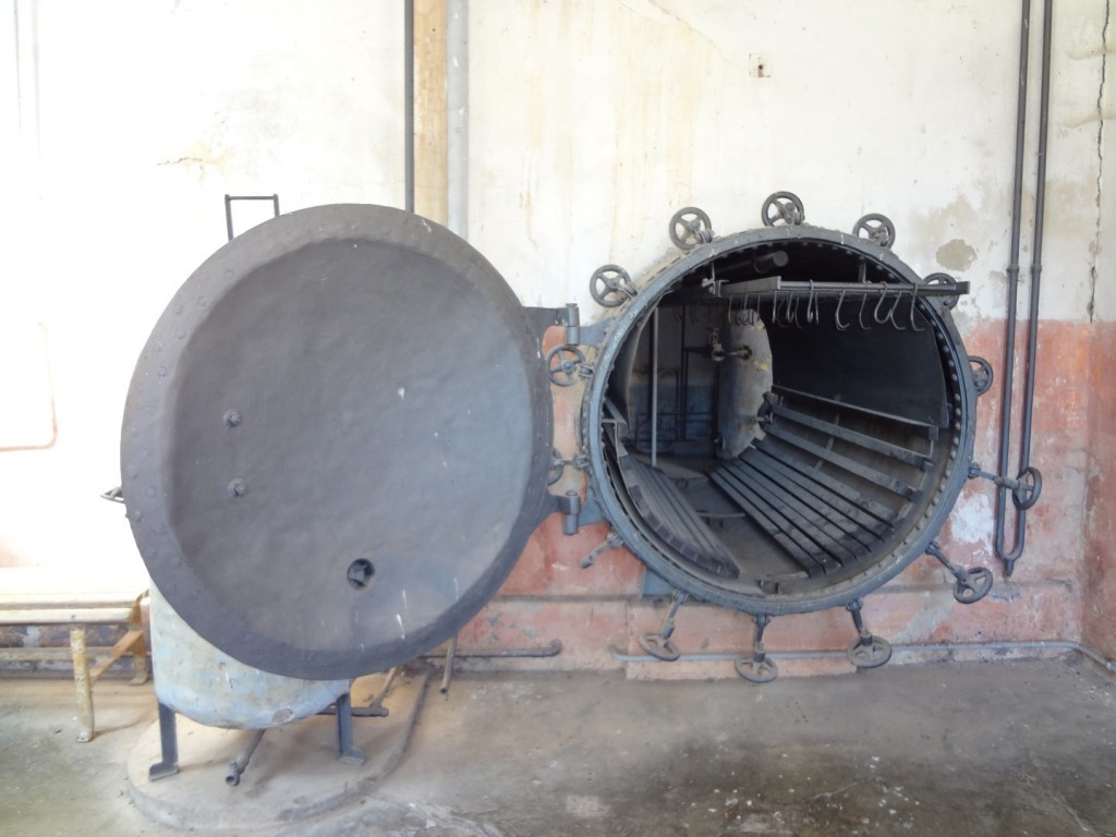 DSC02537 (Large).JPG