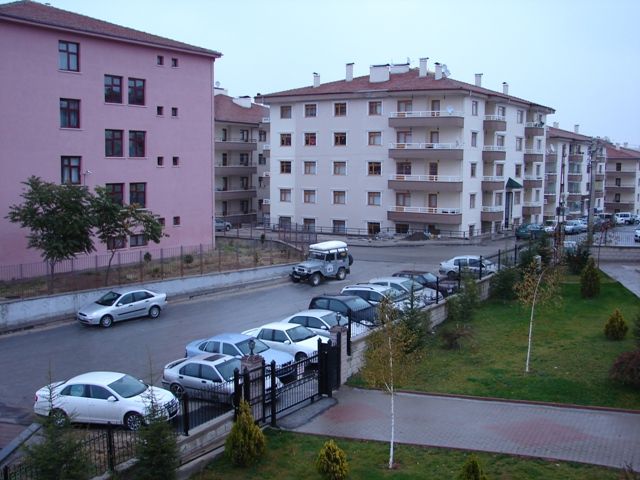 DSC02539.jpg