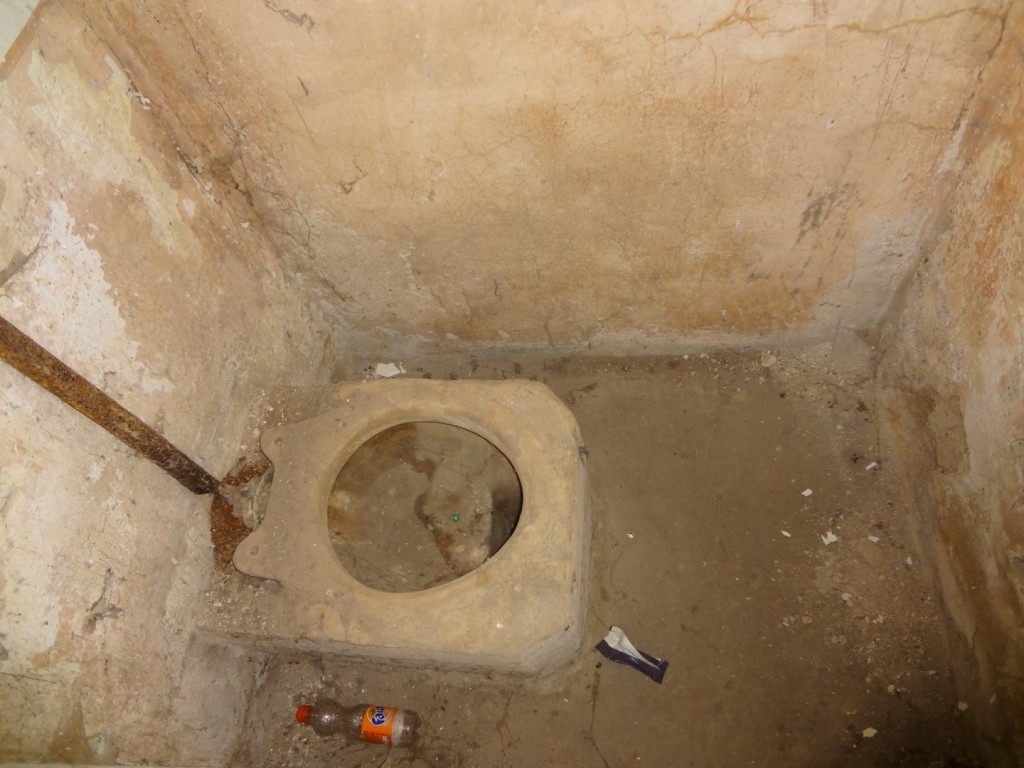 DSC02541 (Large).JPG