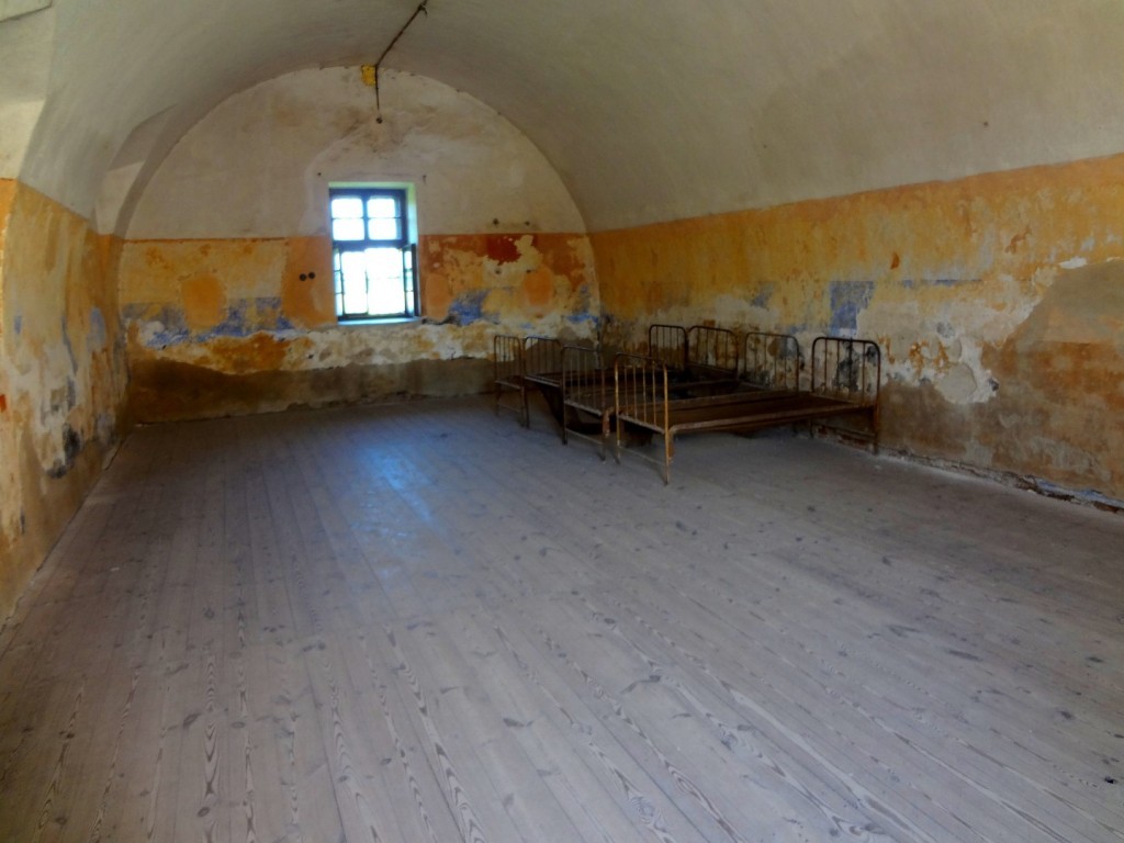 DSC02542 (Large).jpg