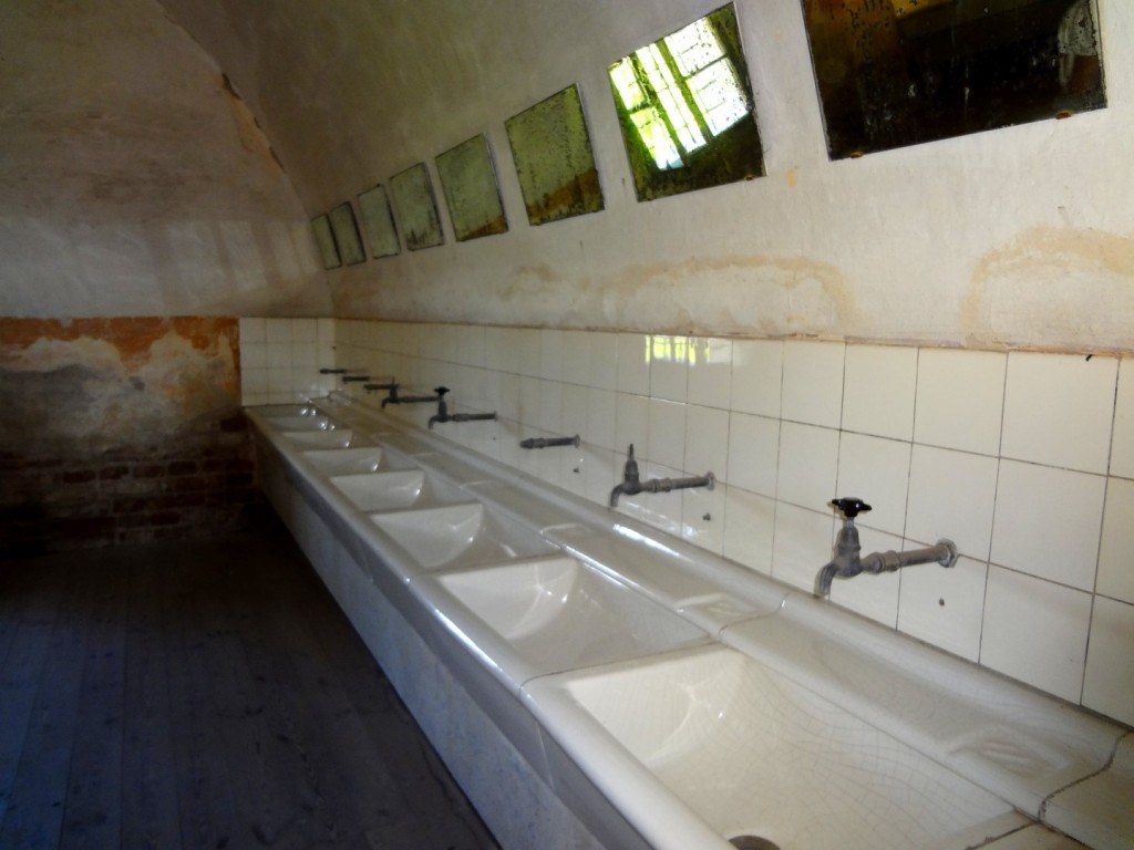 DSC02543 (Large).JPG