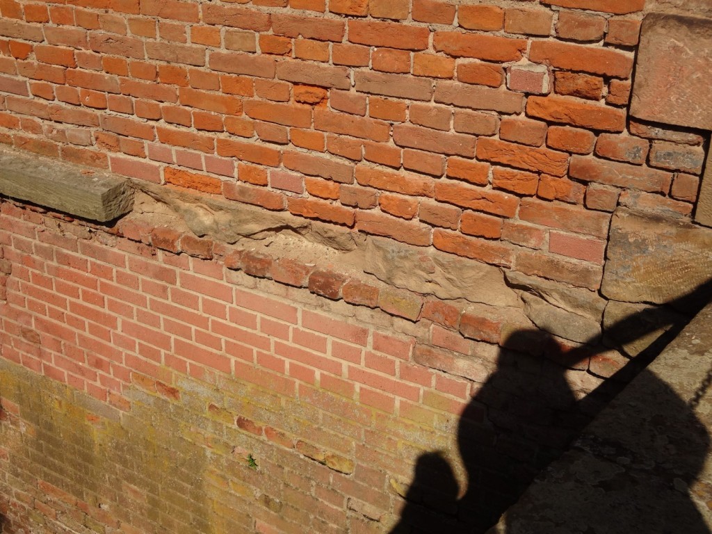 DSC02547 (Large).JPG