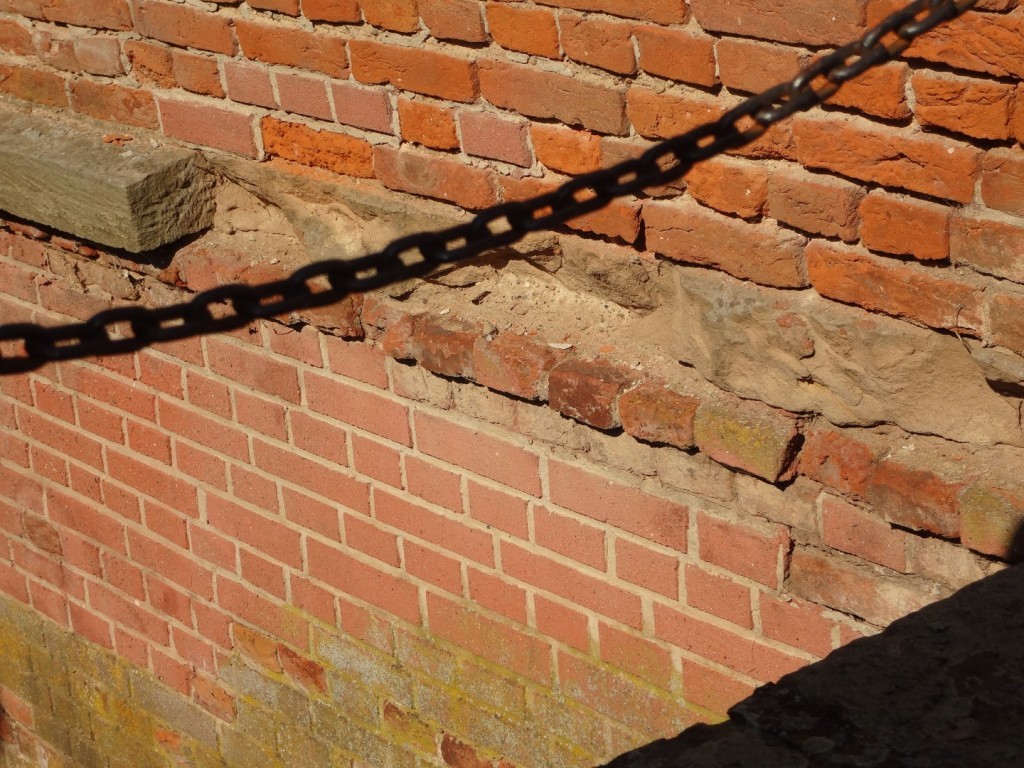 DSC02548 (Large).JPG