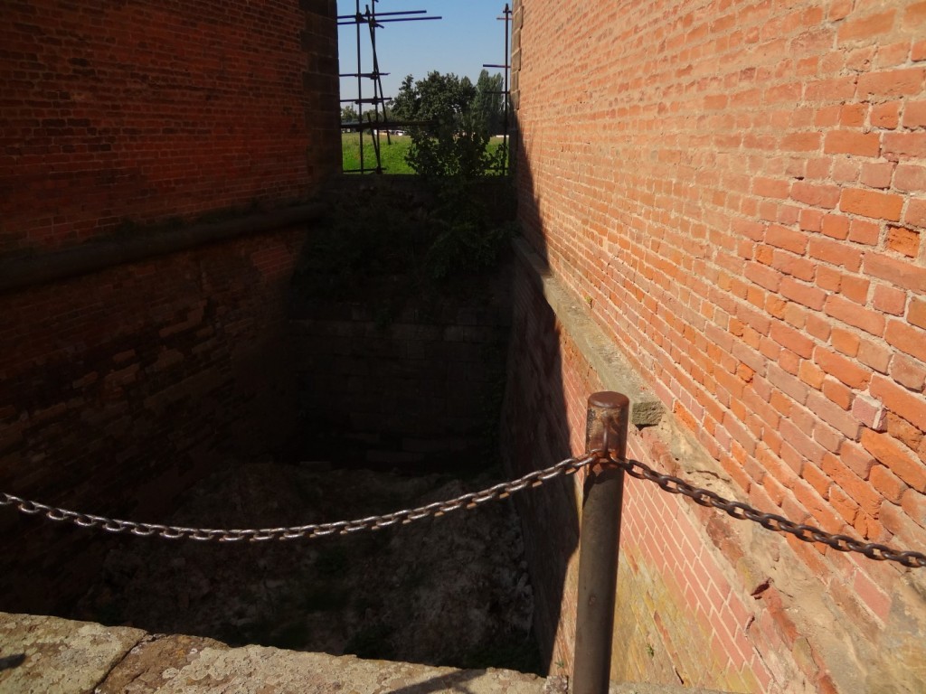 DSC02549 (Large).JPG