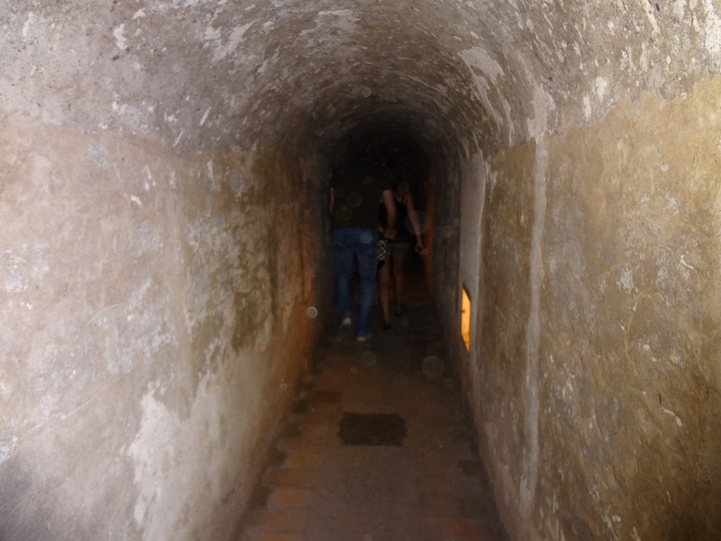 DSC02550 (Large).JPG