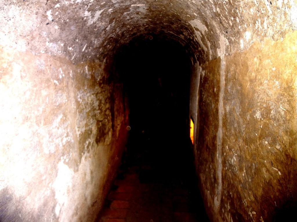 DSC02550, (Large).jpg