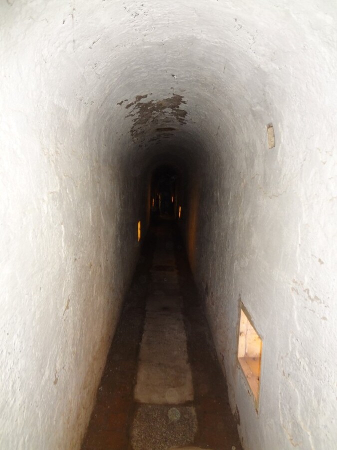 DSC02553 (Large).JPG