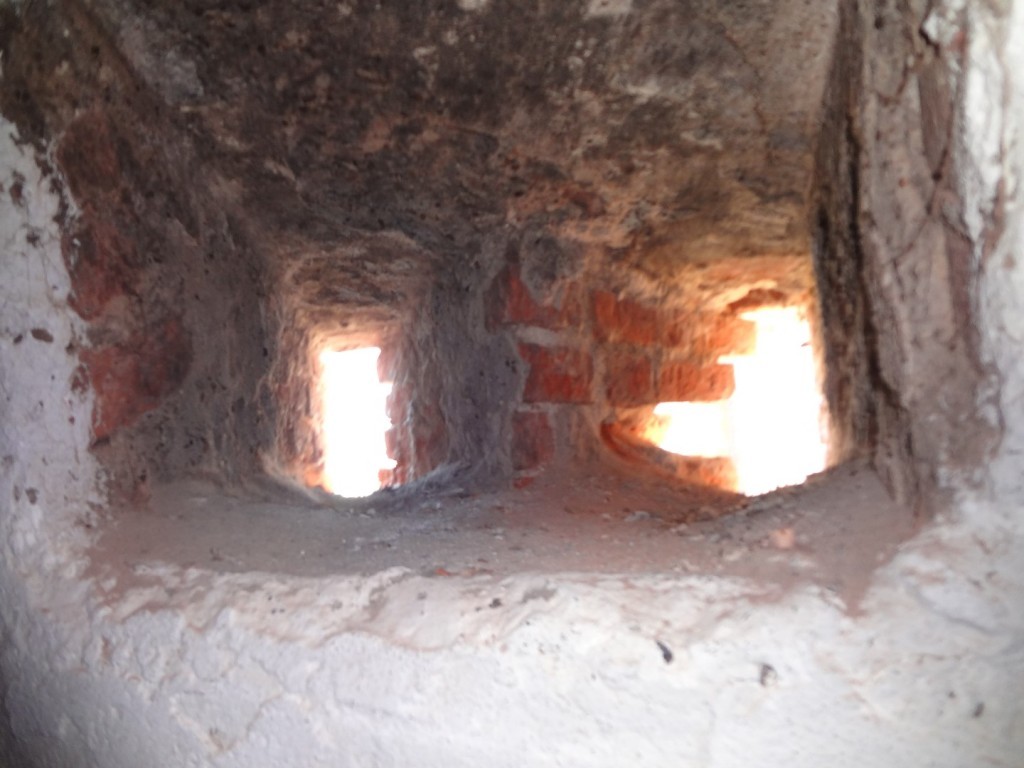 DSC02554 (Large).JPG