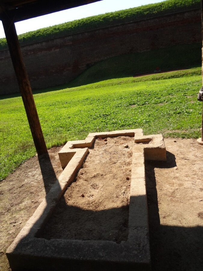 DSC02555 (Large).JPG