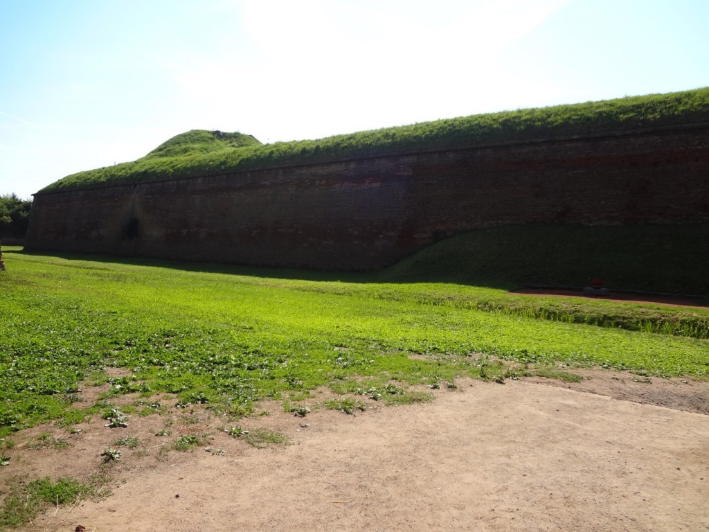 DSC02556 (Large).JPG