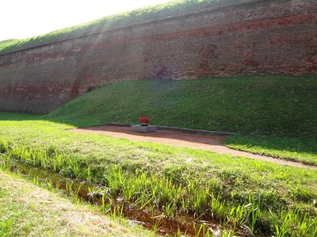 DSC02557 (Large).JPG