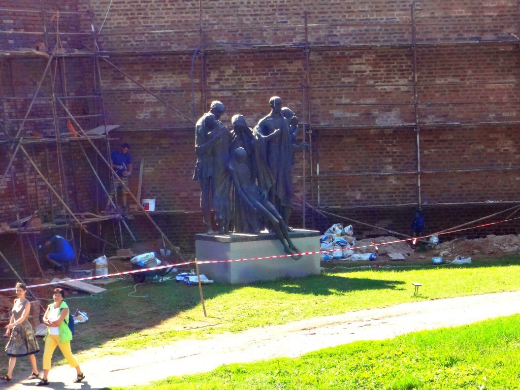 DSC02559 (Large).JPG