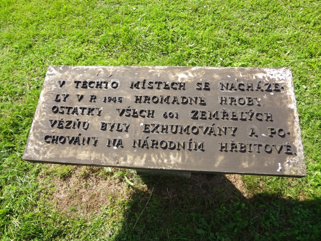 DSC02560 (Large).JPG