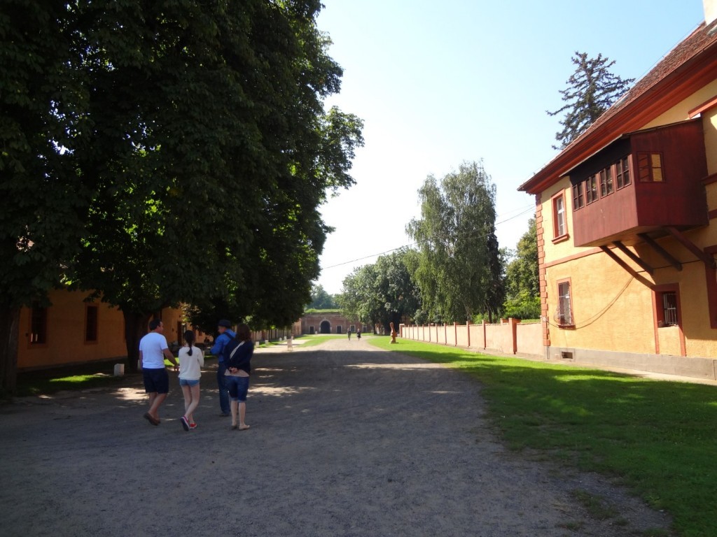 DSC02561 (Large).JPG