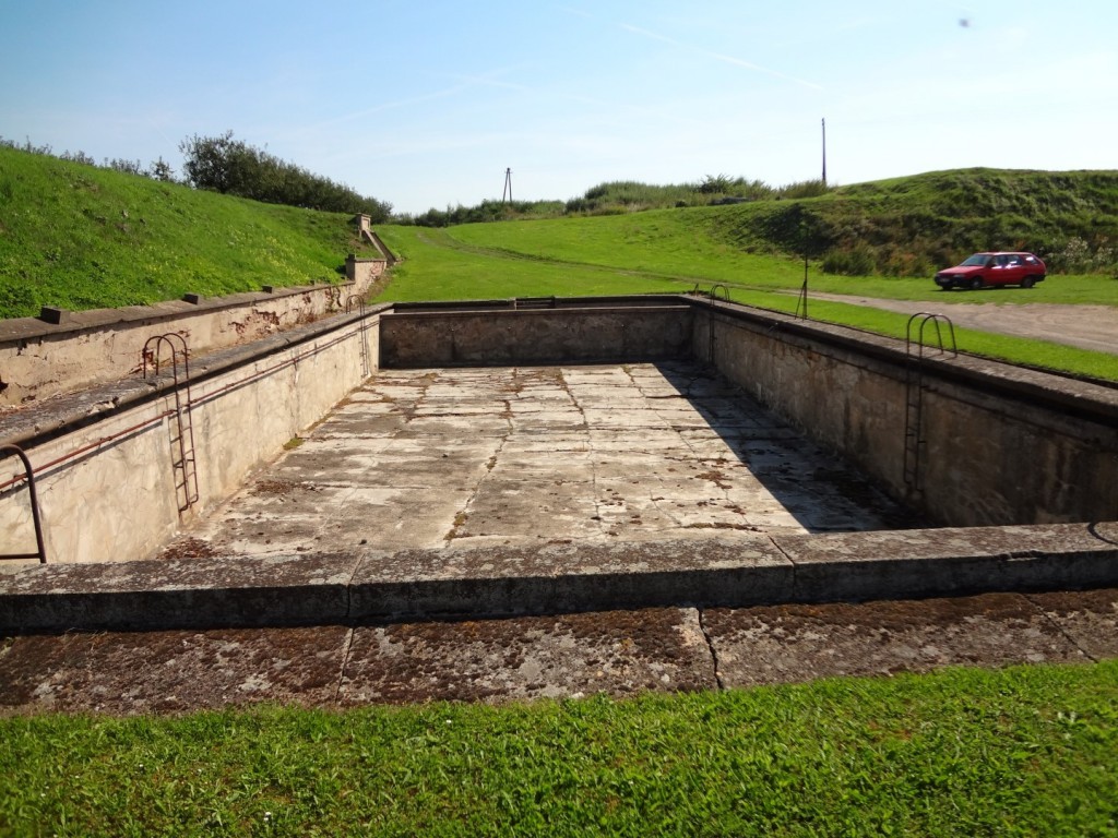 DSC02562 (Large).JPG