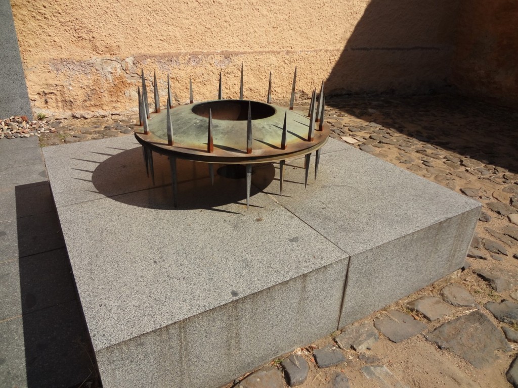 DSC02564 (Large).JPG