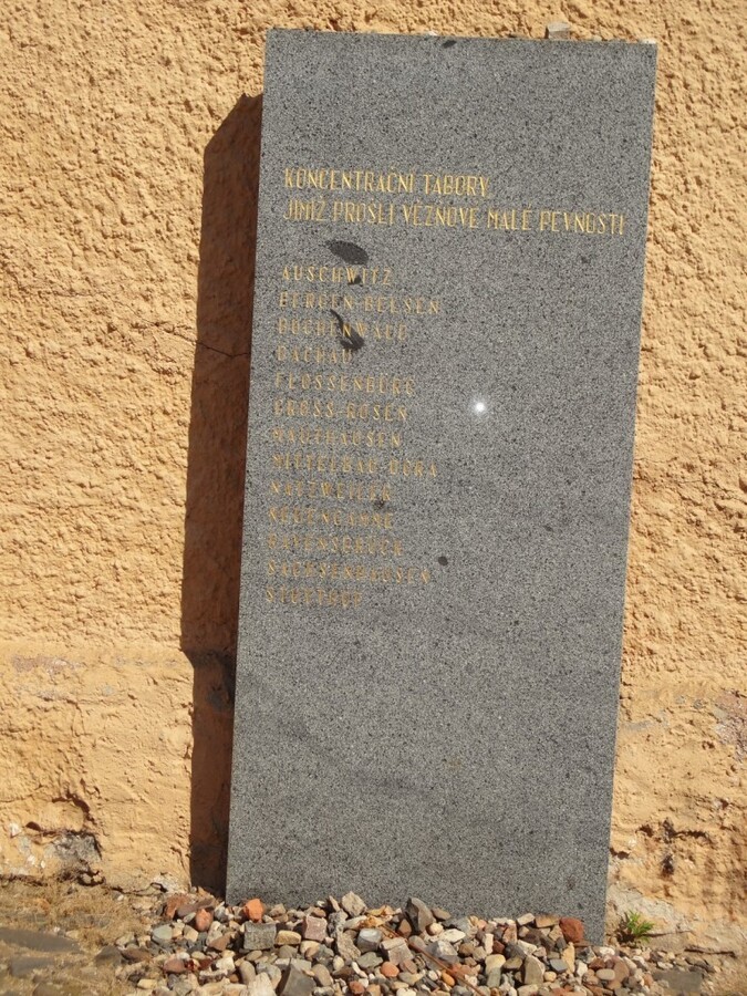 DSC02565 (Large).JPG