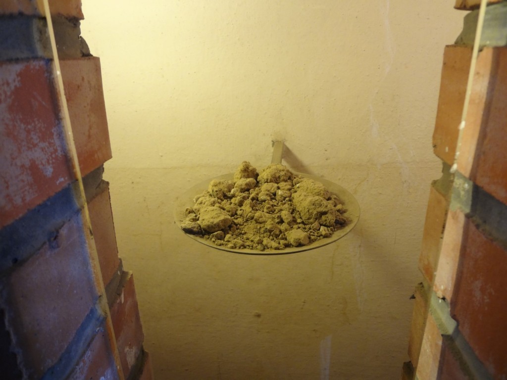 DSC02568 (Large).JPG