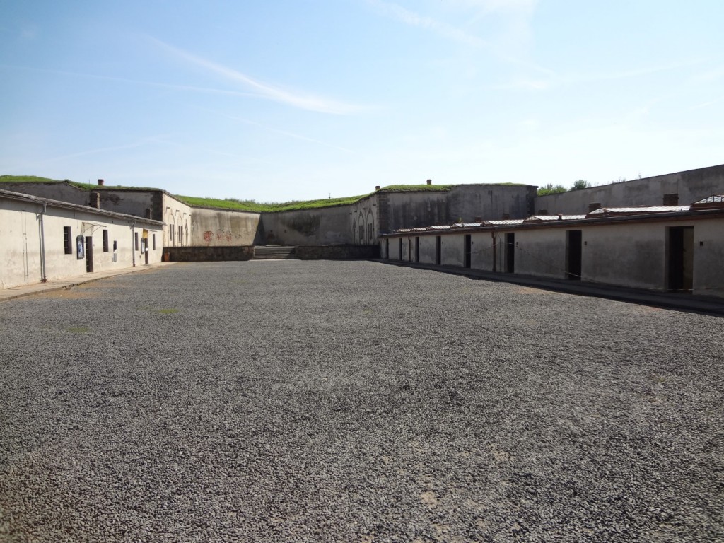 DSC02570 (Large).JPG