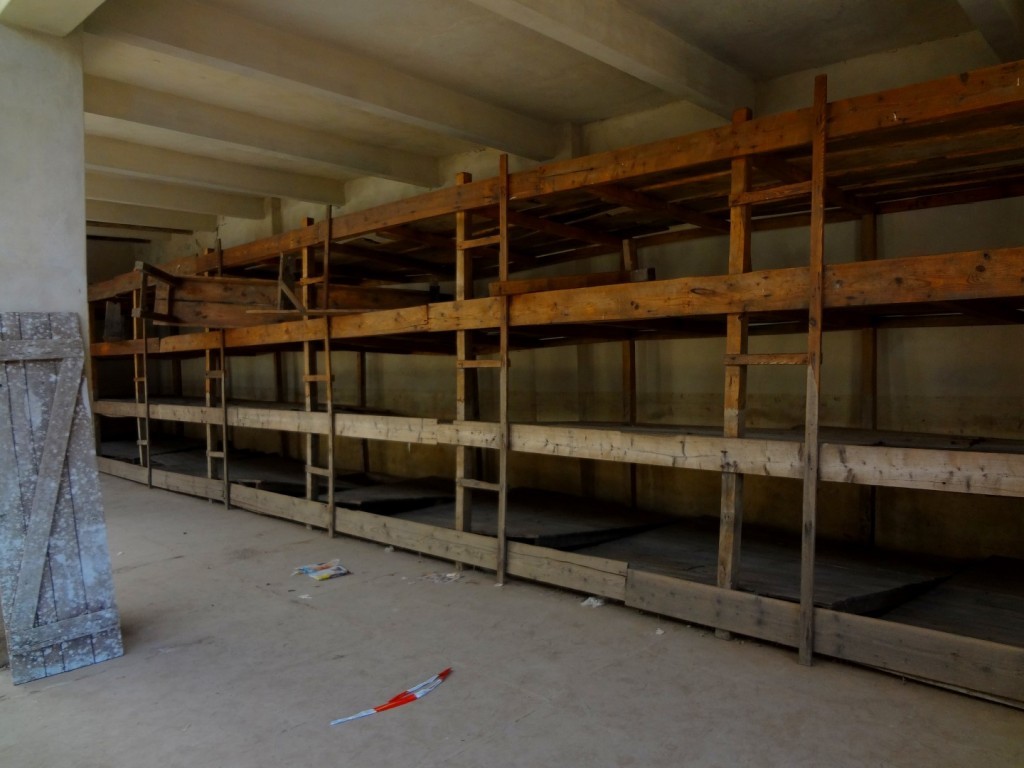 DSC02571 (Large).JPG