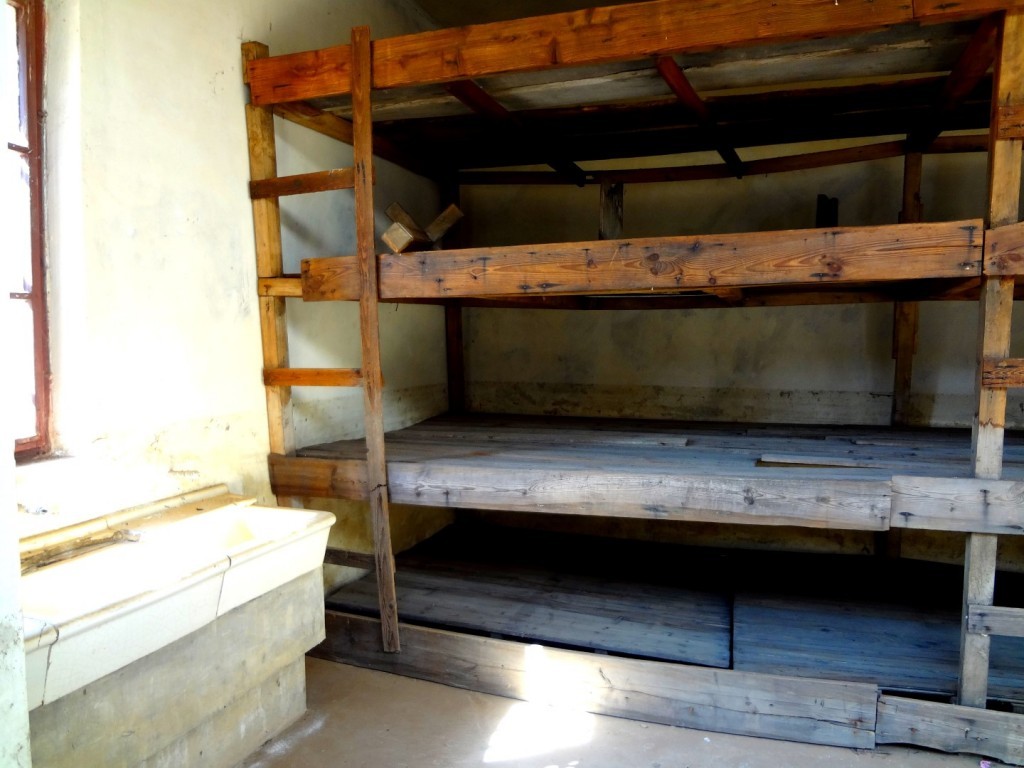 DSC02575 (Large).JPG