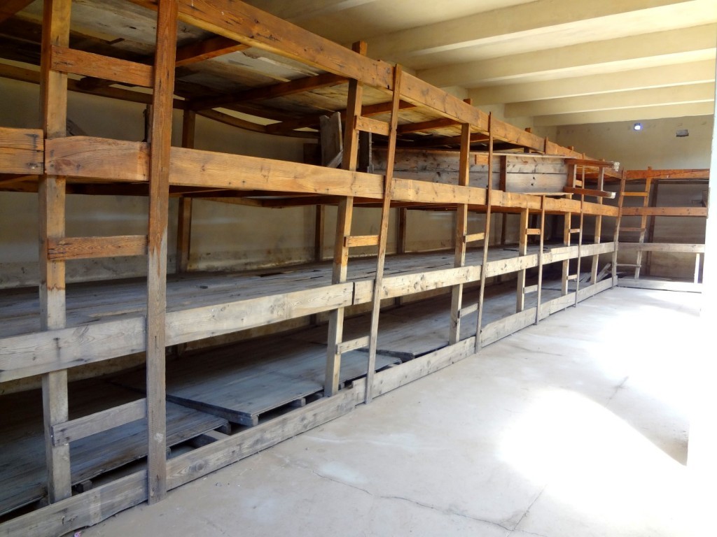 DSC02576 (Large).JPG