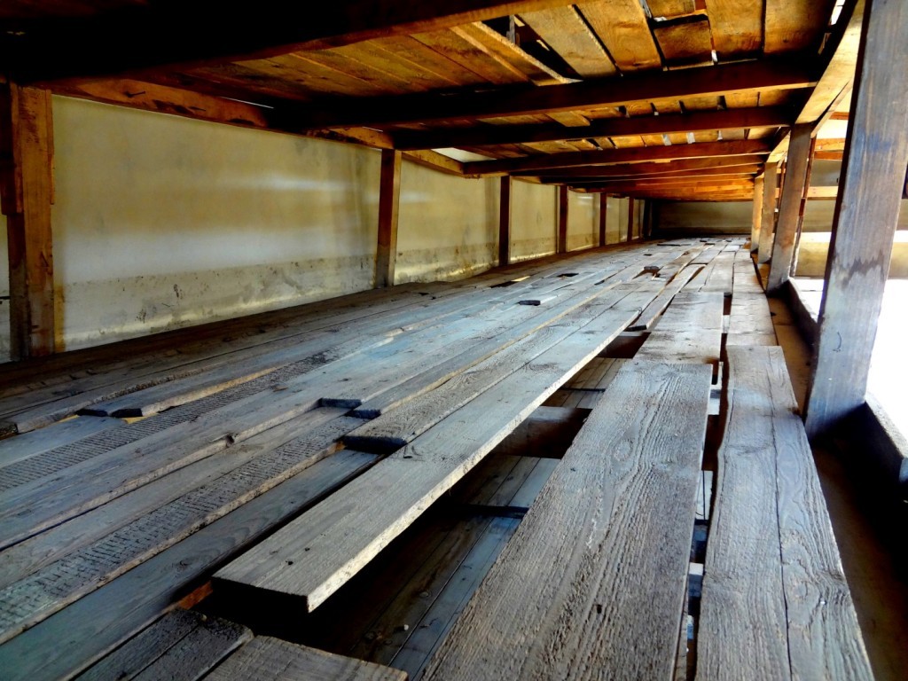 DSC02577 (Large).JPG