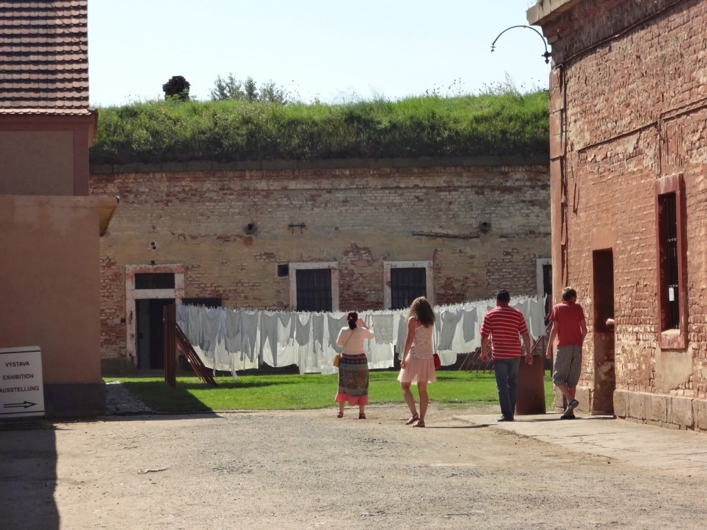 DSC02580 (Large).JPG