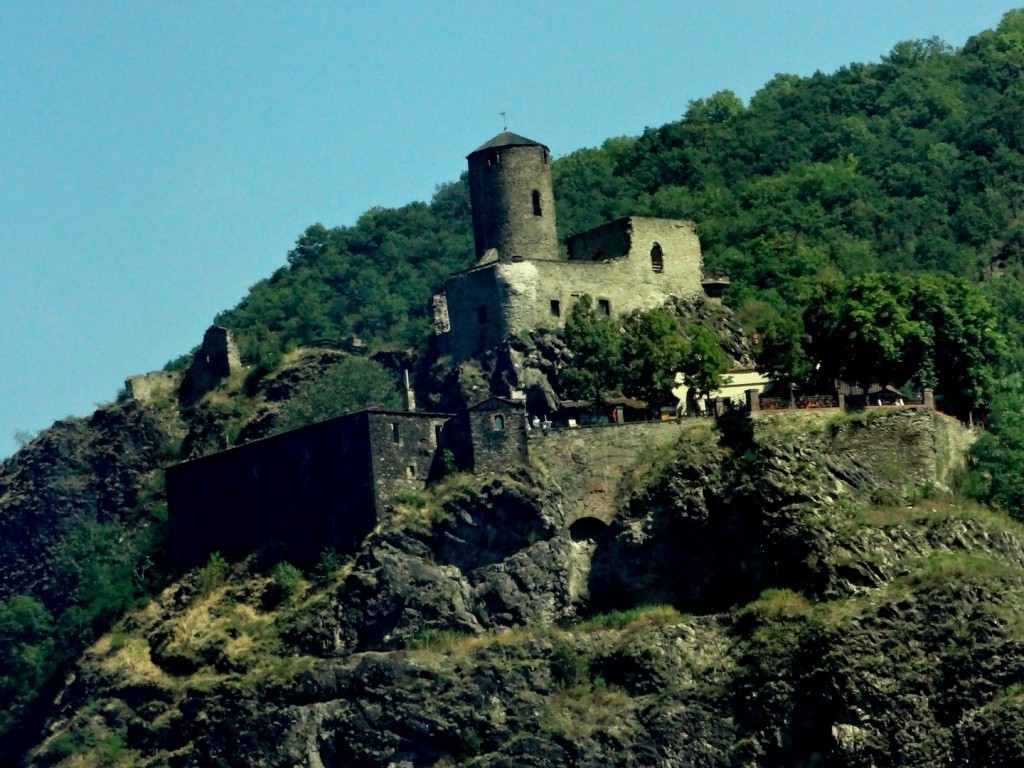 DSC02591 (Large).JPG