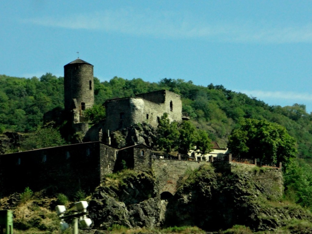 DSC02592 (Large).JPG