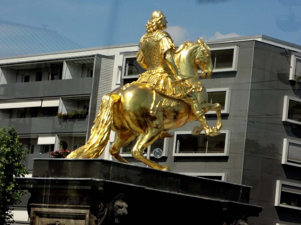 DSC02607 (Large).JPG