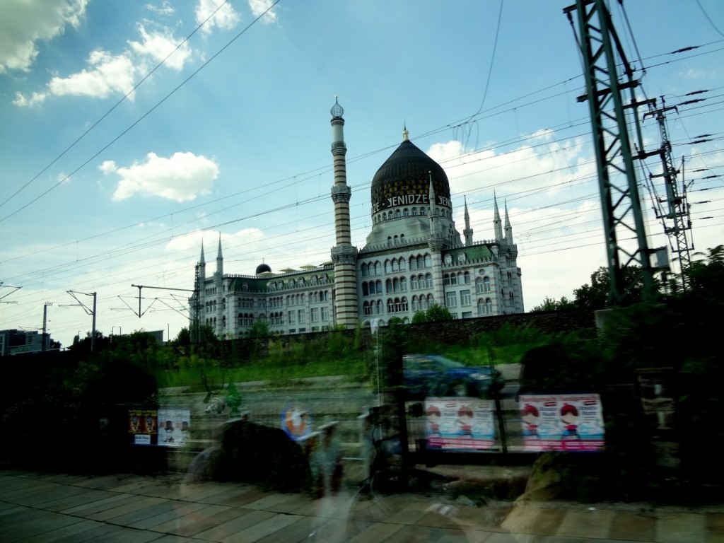 DSC02609 (Large).JPG