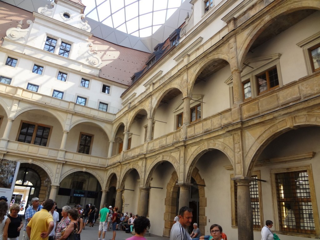 DSC02646 (Large).JPG