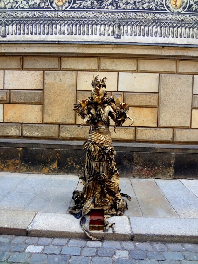 DSC02652 (Large).JPG