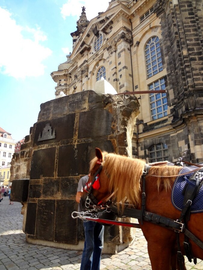 DSC02663 (Large).JPG